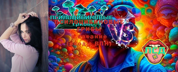 кокс Медвежьегорск