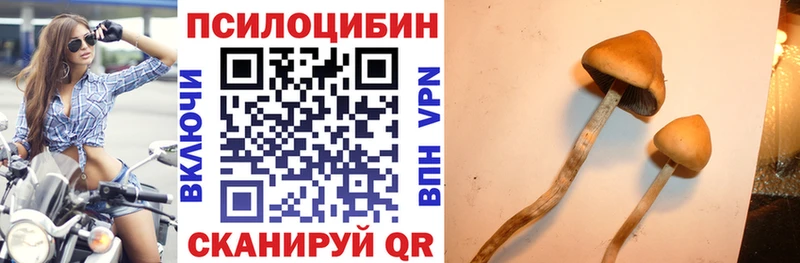 Псилоцибиновые грибы прущие грибы  где купить   Псков 