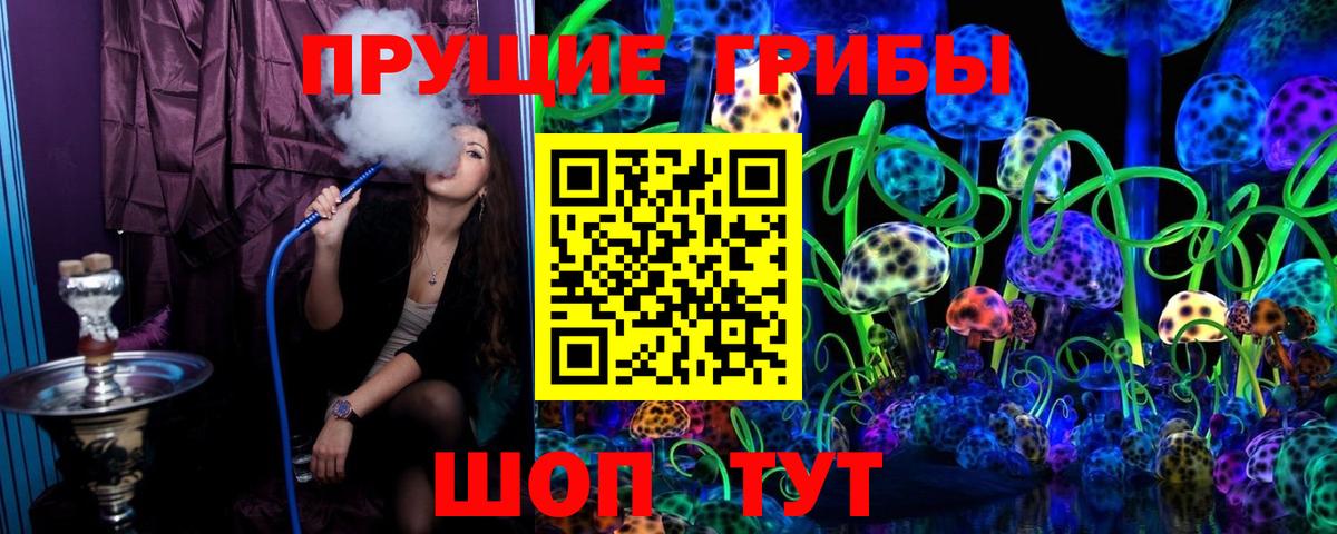 Псков  Псилоцибиновые грибы GOLDEN TEACHER  Галлюциногенные грибы мицелий  Вход с VPN 